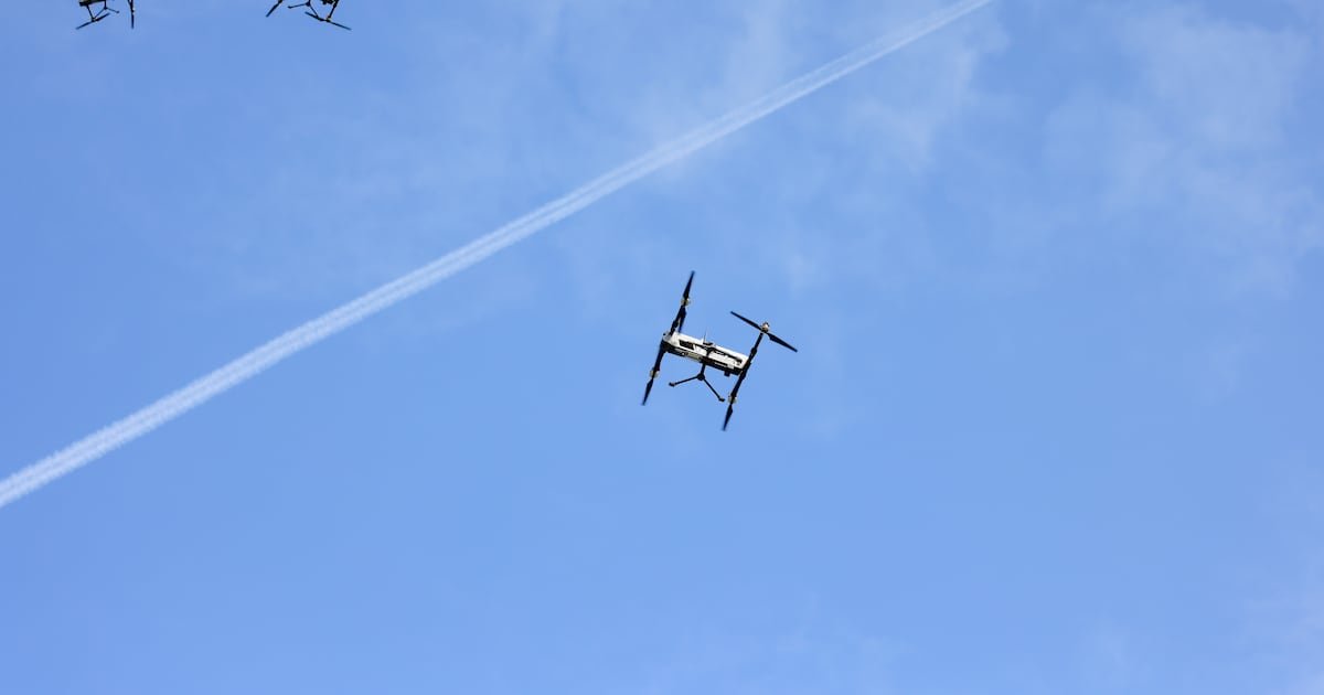 Esto sabemos sobre los avistamientos – El Financiero